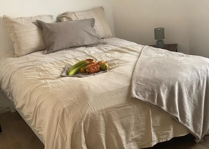 Chez Alain Et Sylvie Apartment *